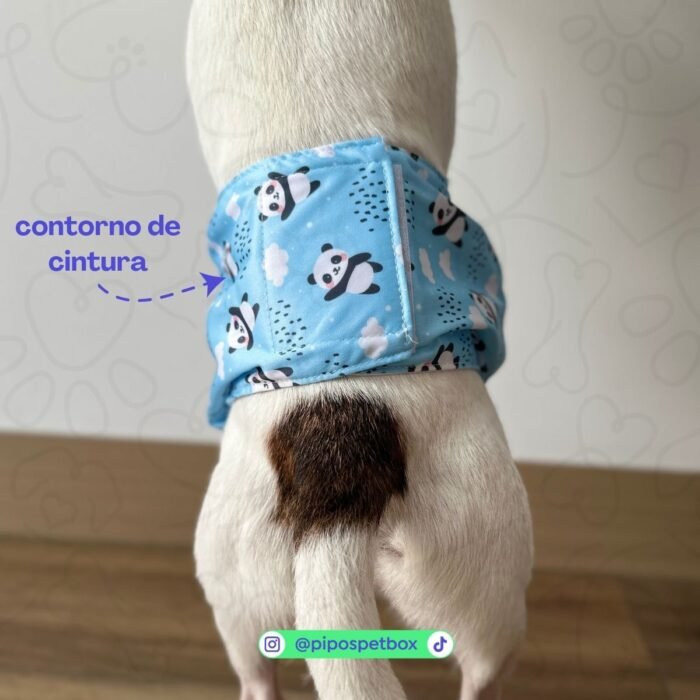 Pañal reutilizable para perro macho – modelo Ballenas Océano celeste