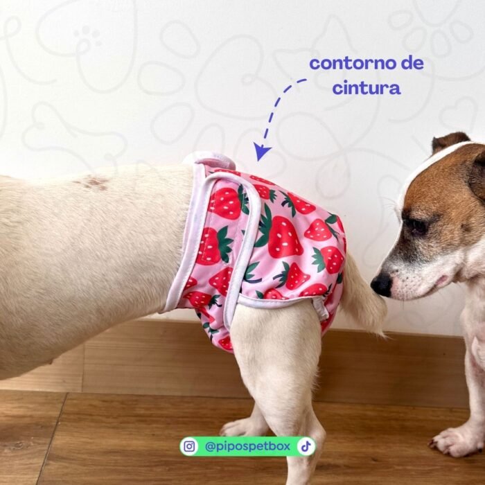 Pañal reutilizable para hembra – modelo Morado