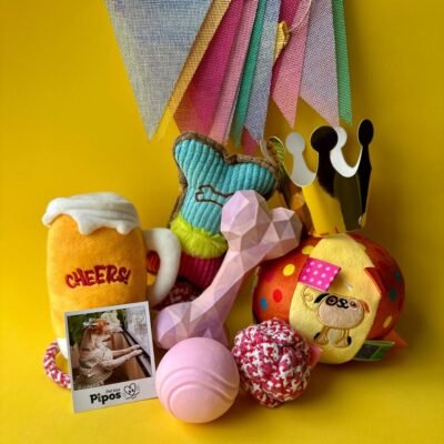 Pet box fiesta