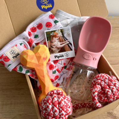 Pet box viajero