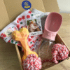 Pet box viajero