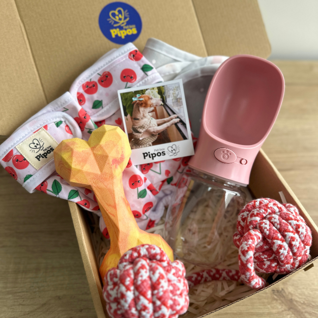 Pet box viajero