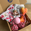 Pet box cuidados hembra