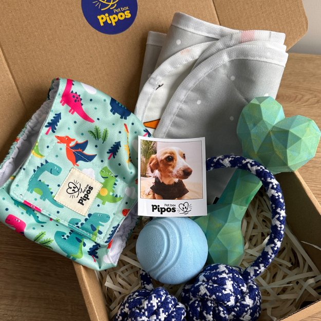 Pet box cuidados macho