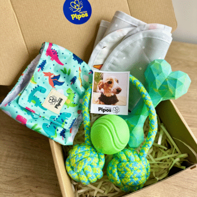 Pet box cuidados macho