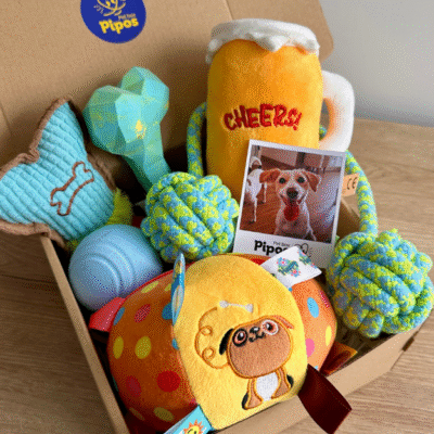 Pet box cumpleañero