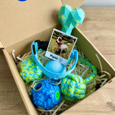 Pet box terreneitor macho