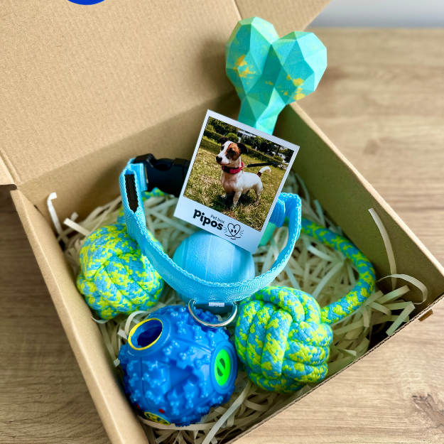 Pet box terreneitor macho