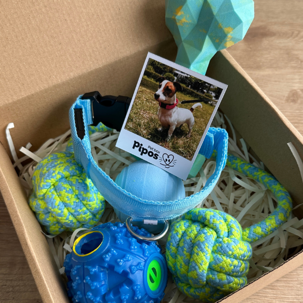 Pet box terreneitor macho