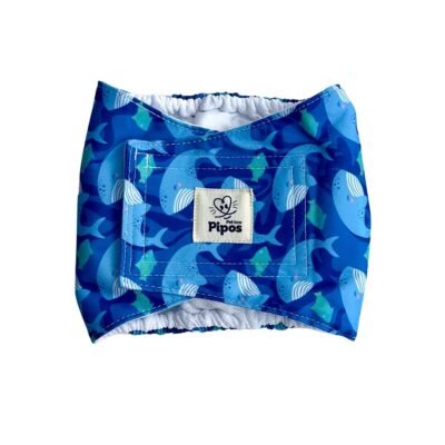 Pañal reutilizable para perro macho modelo Ballena Azul con diseño marino y etiqueta Pipos Pet Box visible