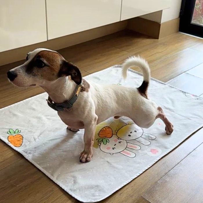 Pad de piso reutilizable para perros – modelo Gatos