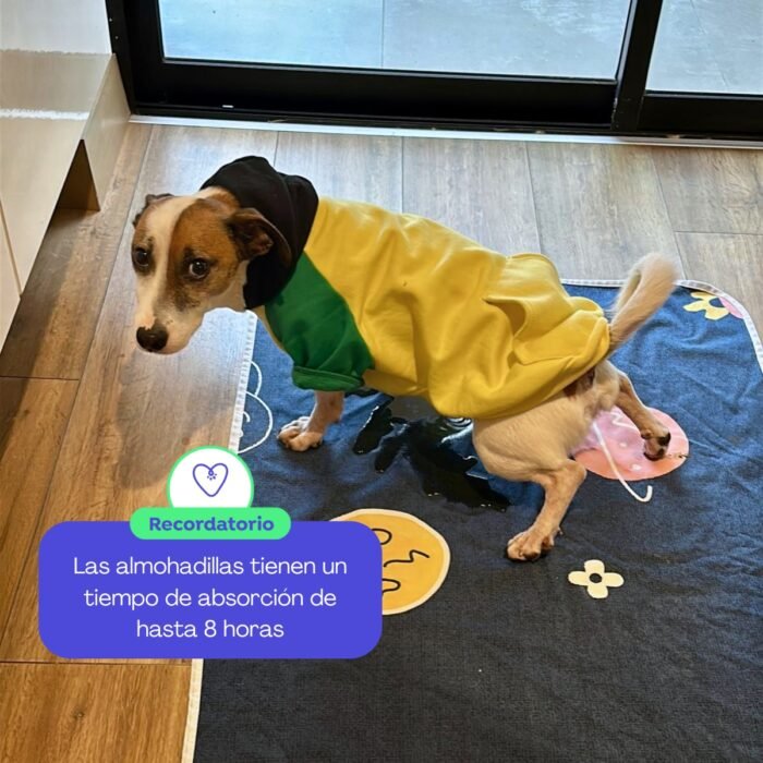 Pad de piso reutilizable para perros – modelo Gatos