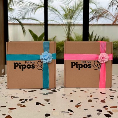 Pet Box Edición Especial – Pet Love Match