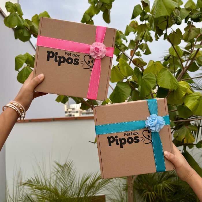 Pet Box Edición Especial – Pet Love Match