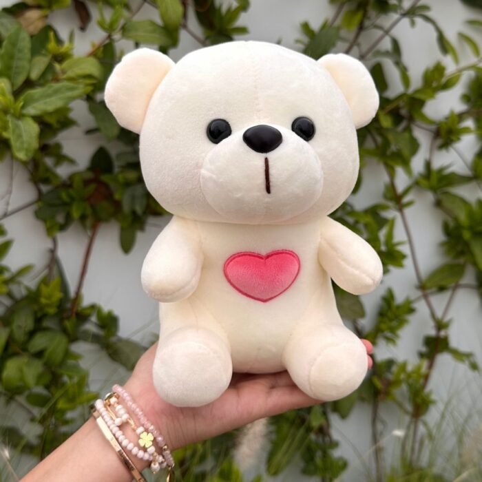 Pet Box Edición Especial – Pet Love San Valentin