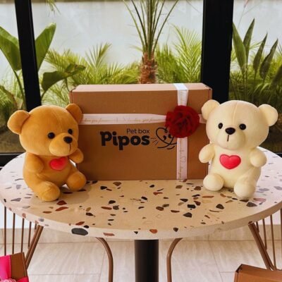 Pet Box Edición Especial – Pet Love San Valentin