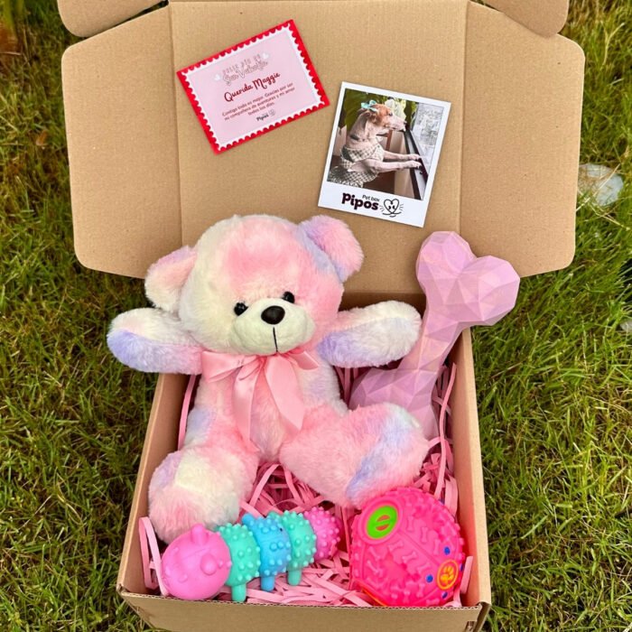 Pet Box Edición Especial – Pet Love Sweet Box