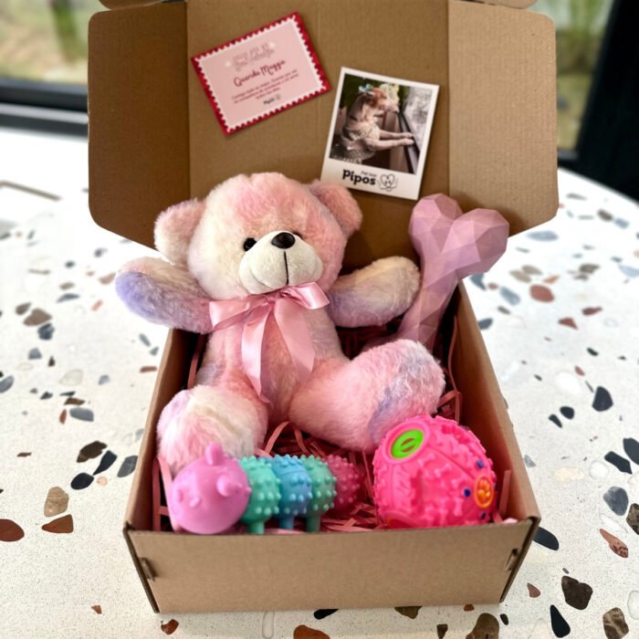 Pet Box Edición Especial – Pet Love Sweet Box