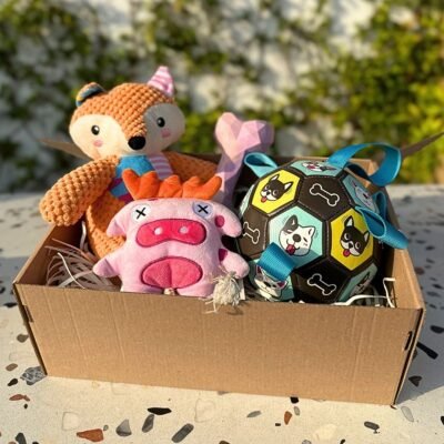 Pet Box – Party Time