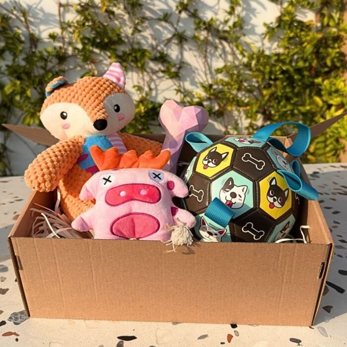 Pet box edición especial Adventure Friends Box de Pipos Pet Box con personajes de peluche y juguetes interactivos (4) Pet Box – Party Time