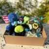 Pet box edición especial Adventure Friends Box de Pipos Pet Box con personajes de peluche y juguetes interactivos (5) Pet Box – Party Time
