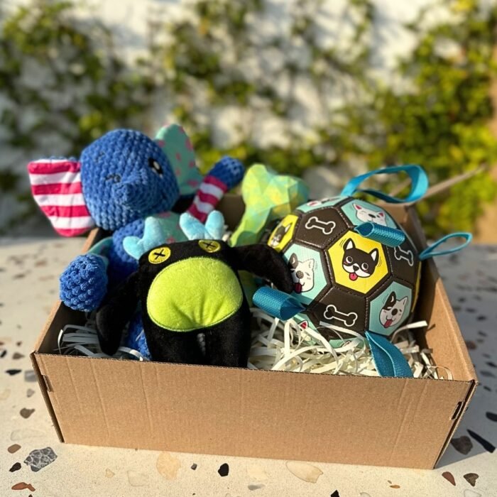 Pet box edición especial Adventure Friends Box de Pipos Pet Box con personajes de peluche y juguetes interactivos (5) Pet Box – Party Time