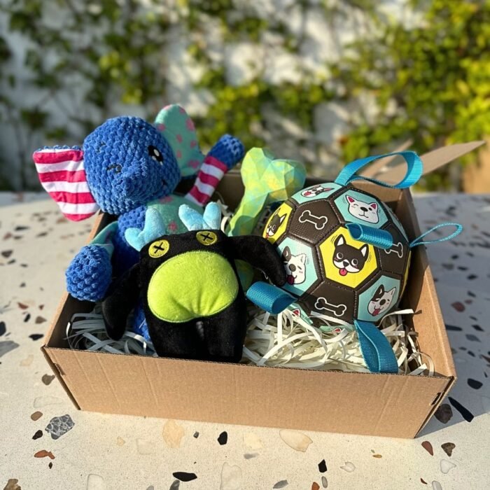 Pet box edición especial Adventure Friends Box de Pipos Pet Box con personajes de peluche y juguetes interactivos (6) Pet Box – Party Time
