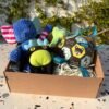Pet box edición especial Adventure Friends Box de Pipos Pet Box con personajes de peluche y juguetes interactivos (7) Pet Box – Party Time