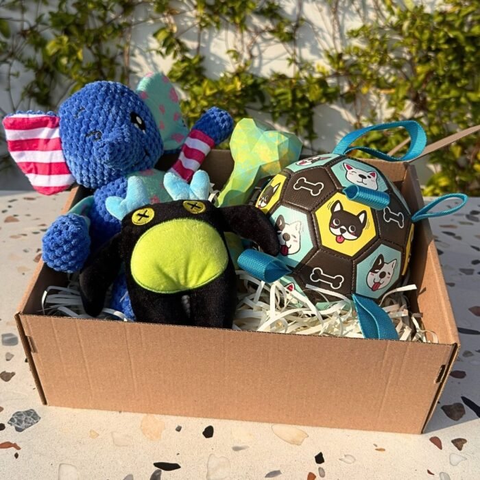 Pet box edición especial Adventure Friends Box de Pipos Pet Box con personajes de peluche y juguetes interactivos (7) Pet Box – Party Time