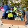 Pet box edición especial Adventure Friends Box de Pipos Pet Box con personajes de peluche y juguetes interactivos (8) Pet Box – Party Time