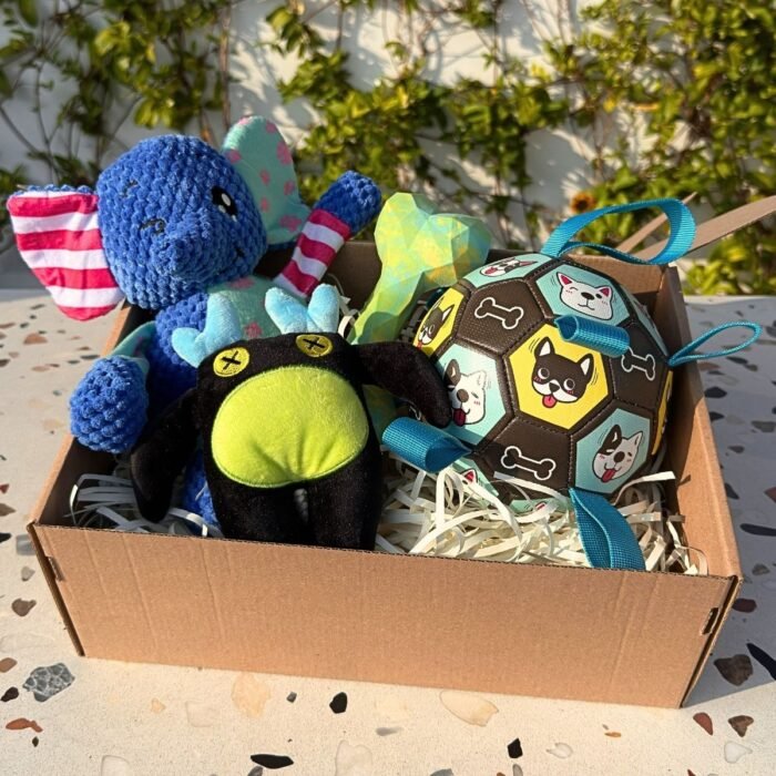 Pet box edición especial Adventure Friends Box de Pipos Pet Box con personajes de peluche y juguetes interactivos (8) Pet Box – Party Time