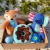 Pet Box – Epic Fest by Feicher