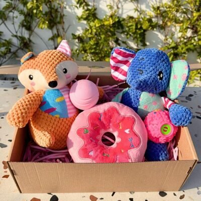 Pet Box – Epic Fest by Feicher