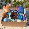 Pet Box – Epic Fest by Feicher