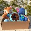 Pet Box – Epic Fest by Feicher
