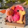 Pet box edición especial Farm Party Box de Pipos Pet Box con peluche de vaca o cerdito y dona gigante (2) Pet Box – Party Mix