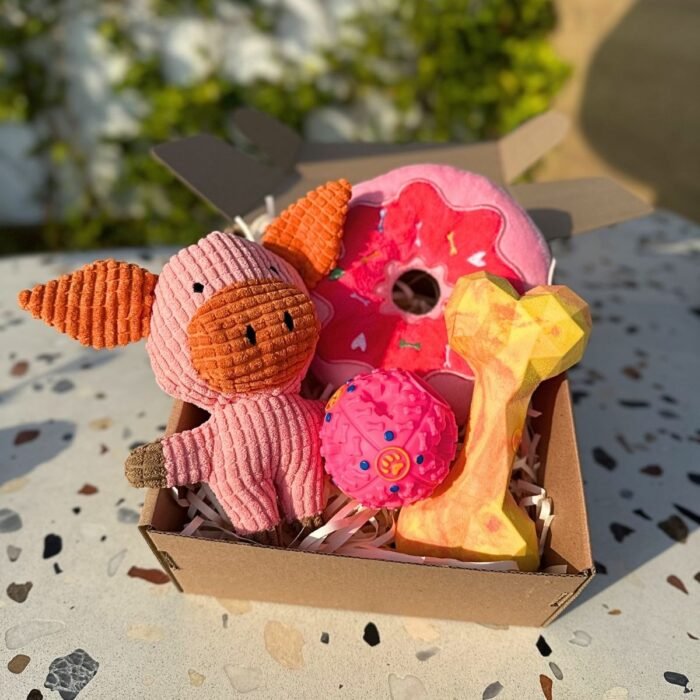 Pet box edición especial Farm Party Box de Pipos Pet Box con peluche de vaca o cerdito y dona gigante (3) Pet Box – Party Mix
