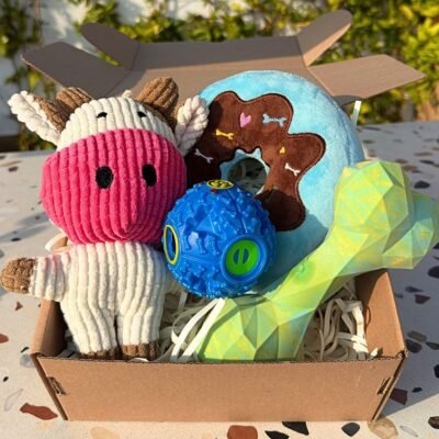 Pet Box – Party Mix