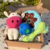 Pet box edición especial Farm Party Box de Pipos Pet Box con peluche de vaca o cerdito y dona gigante (6) Pet Box – Party Mix