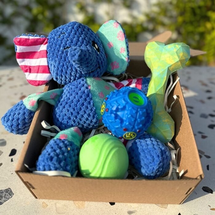 Pet box edición especial Little Elephant Box de Pipos Pet Box con elefante de peluche y juguetes interactivos (2) Pet Box – Super Party