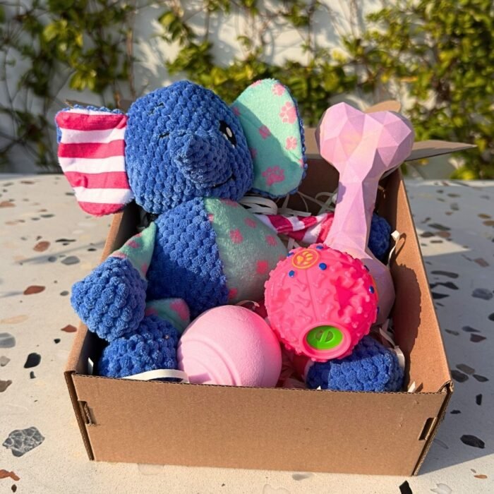 Pet box edición especial Little Elephant Box de Pipos Pet Box con elefante de peluche y juguetes interactivos (6) Pet Box – Super Party