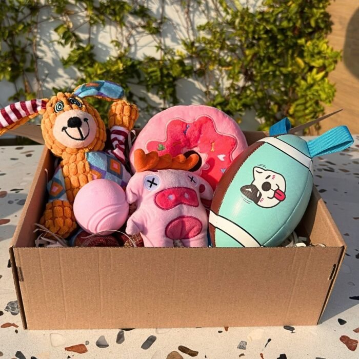 Pet box edición especial Playground Box de Pipos Pet Box con presentación decorativa (4) Pet Box – Fiesta Top