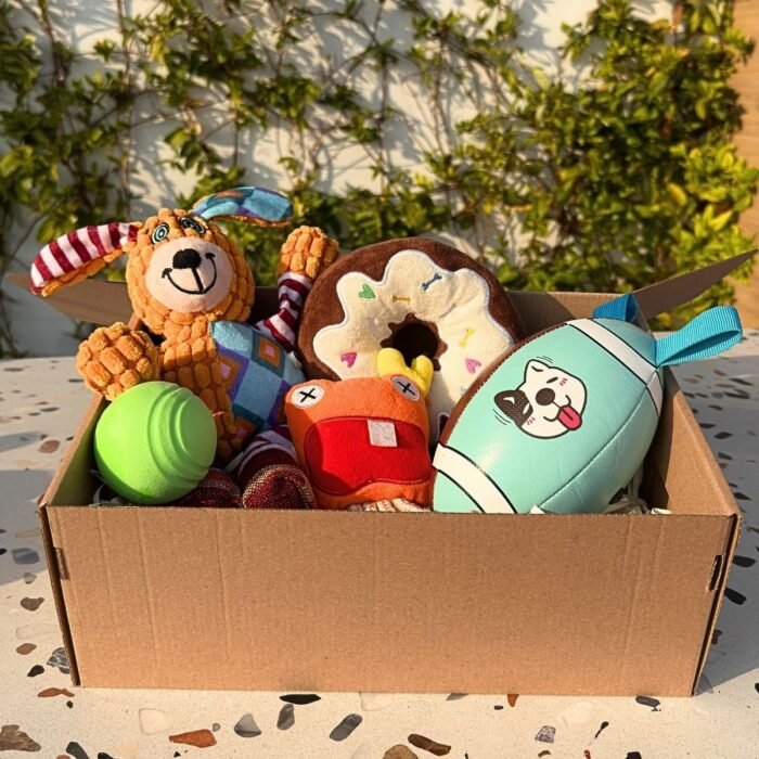 Pet box edición especial Playground Box de Pipos Pet Box con presentación decorativa (5) Pet Box – Fiesta Top