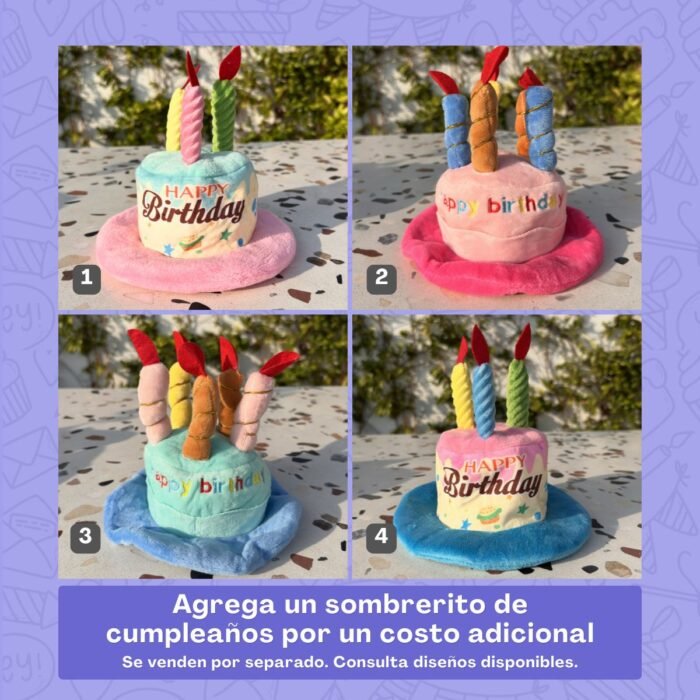 Sombreritos de cumpleaños para perros de Pipos Pet Box disponibles en diferentes diseños y colores para complementar tu Pet Box. Pet Box – Monster Party