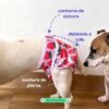 Guía de posición de pañales para perro hembra Pañal reutilizable para hembra – modelo Unicornios