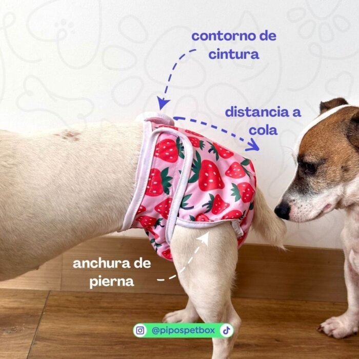Guía de posición de pañales para perro hembra Pañal reutilizable para hembra – modelo Unicornios
